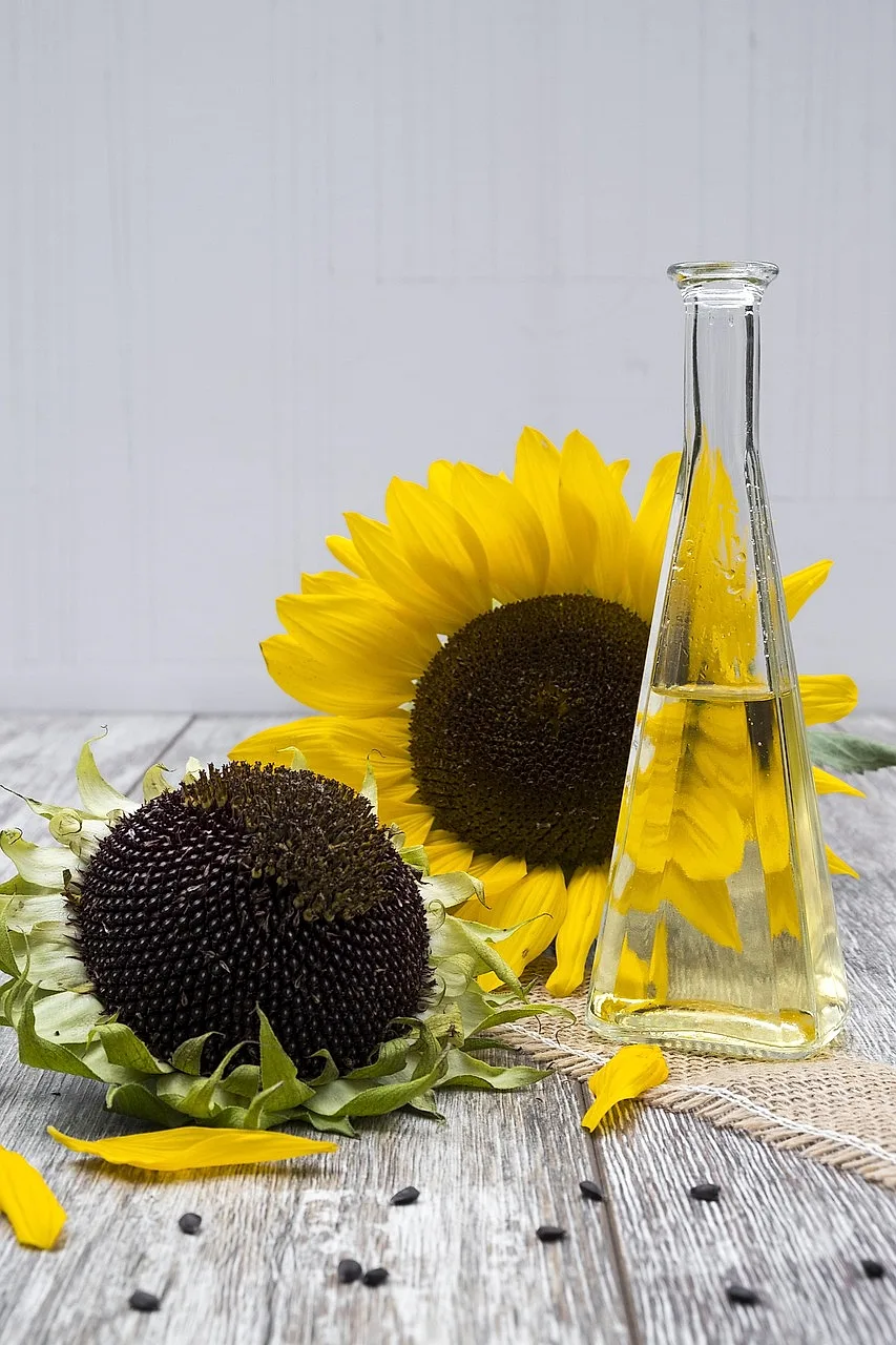 Sunflower oil in glass bottles